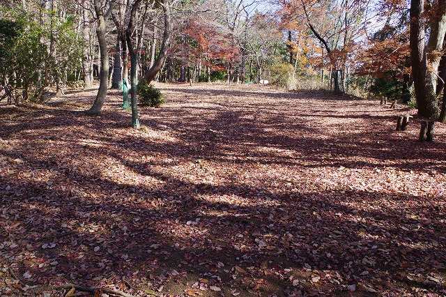 大倉高原山の家跡のテントサイト