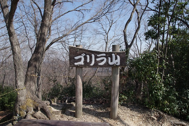 ゴリラ山の山頂標識