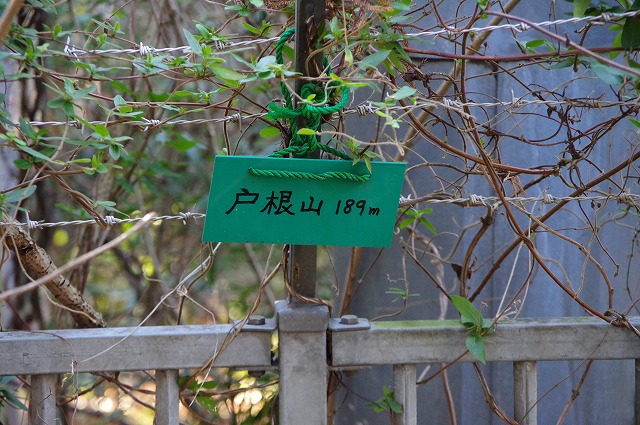 ソッカー（戸根山）の山頂標識