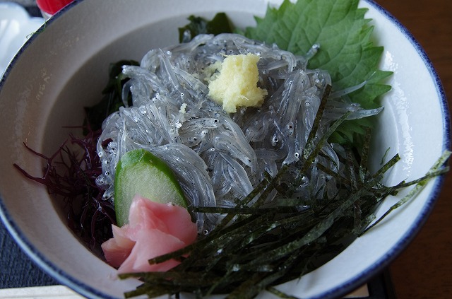 魚見亭の生しらす丼